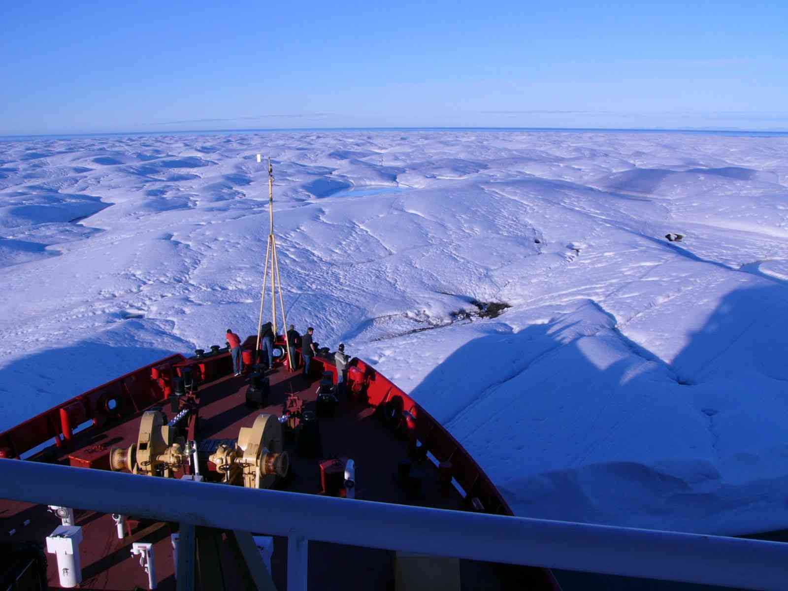 Photograph of observers and employees on a ship in iceland