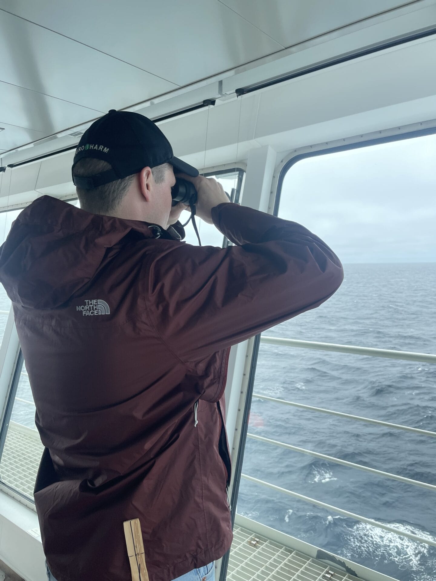 Fotografía del observador de la fauna de alta mar