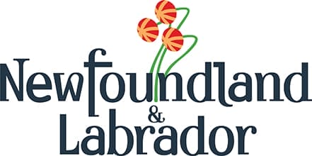 Terranova y Labrador