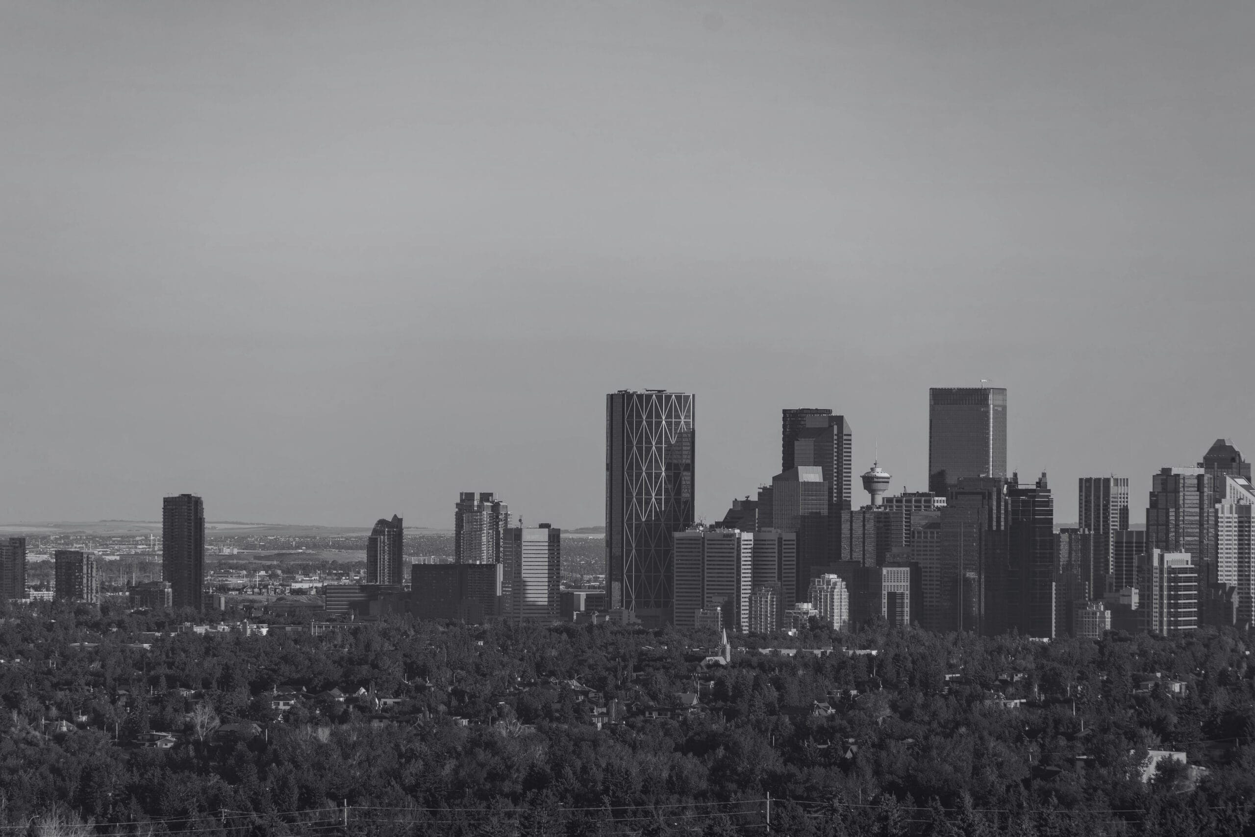 Black and white photo of a city skyline with tall modern buildings rising above a dense area of trees, under a clear sky—capturing the spirit of DEFSEC West 2026 as urban innovation meets security at this premier defense conference.